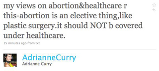 Illustration for article titled Adrianne Curry Expresses Her Views On Health Care, Abortion